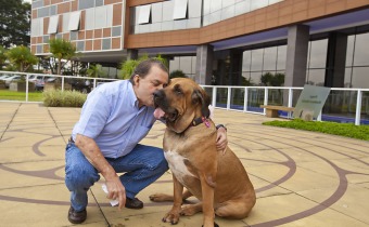 Além de atestar boa saúde do animal, médico deve autorizar no prontuário do paciente que concorda com a vista do bicho.